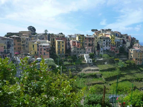 Cinque Terre - Photo 6