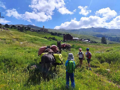 Rando Queyras avec un âne - Photo 5