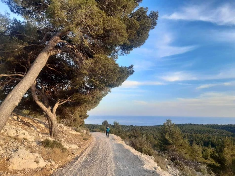 Calanques de Cassis, Ste Baume & Ste Victoire - Photo 4