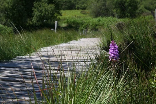 Rando & balnéo dans le Caroux - Photo 4