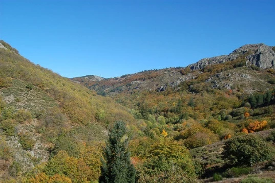 Rando & balnéo dans le Caroux - Photo 10