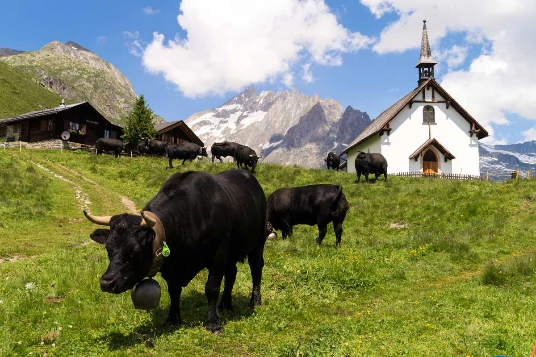 Rando & Balnéo à Aletsch en liberté - Photo 2