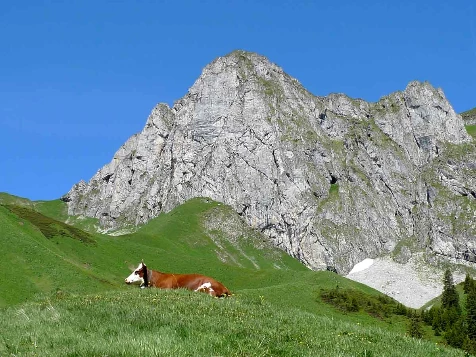 Rando & Detente dans les Alpes du Léman - Photo 5