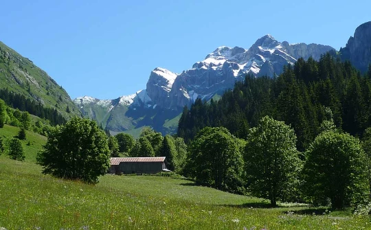 Rando & Balnéo Léman en liberté - Photo 1