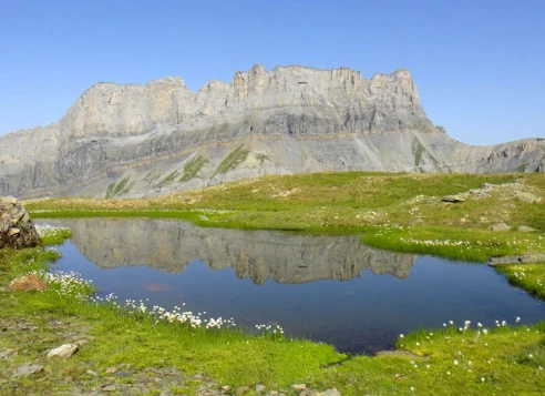 GTA : Evian - Chamonix en liberté - Photo 3