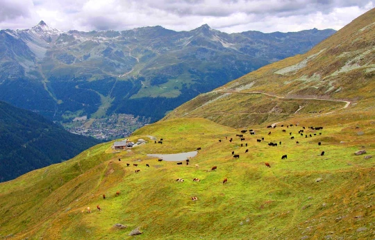 Chamonix - Zermatt - Photo 13