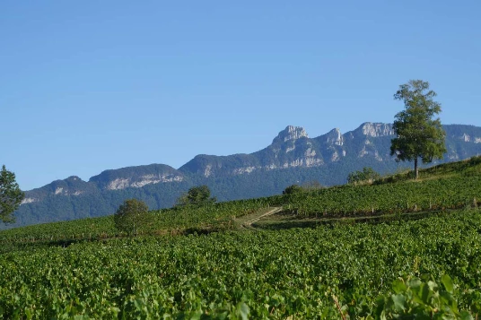 Chemins de Compostelle : Genève - St Genix sur G - Photo 1
