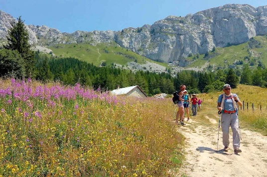 Rando & Bien Etre Vercors en liberté - Photo 7
