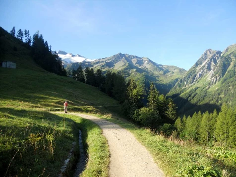 Tour du Mont Blanc Complet en liberté - Photo 7