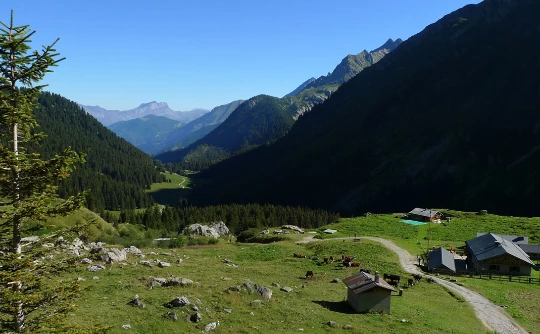 Tour du Mont Blanc Nord en liberté - Photo 7