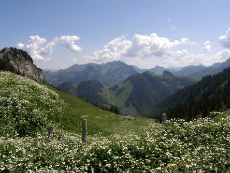Balcons de Gruyère en Liberté - Photo 7