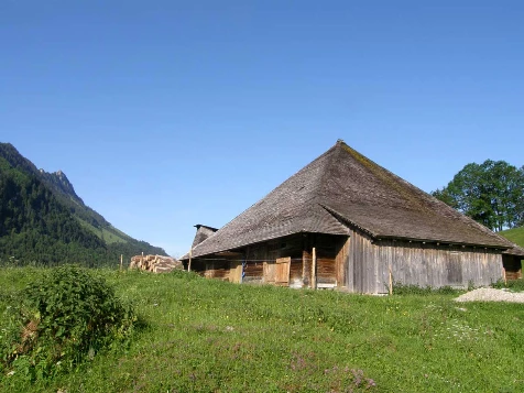 Balcons de Gruyère en Liberté - Photo 5