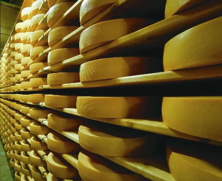 Balcons de Gruyère en Liberté - Photo 10