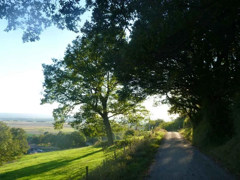 Chemins de Compostelle : St Genix sur G - Condrieu - Photo 10