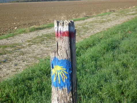 Chemins de Compostelle : St Genix sur G - Condrieu - Photo 11