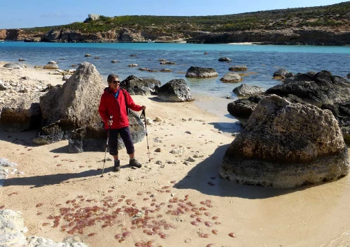 Malte en Liberté - Photo 5