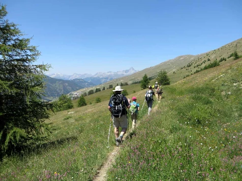 Queyras en liberté avec un âne - Photo 2