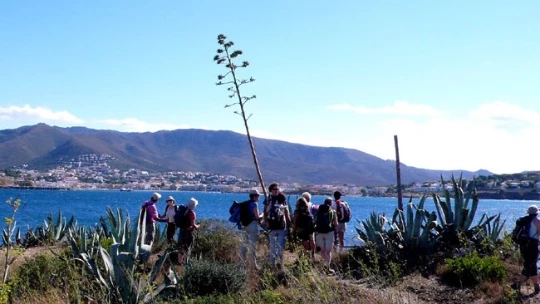 WE Réveillon Cadaques - Photo 3