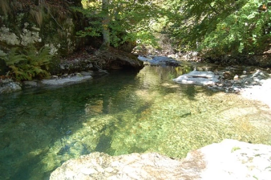 Caroux en Liberté - Photo 6