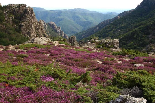 Caroux en Liberté - Photo 5