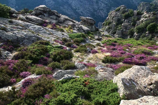 Caroux en Liberté - Photo 8