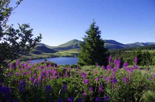 Traversée du Massif Central : du Puy de Dôme au Sancy - Photo 4