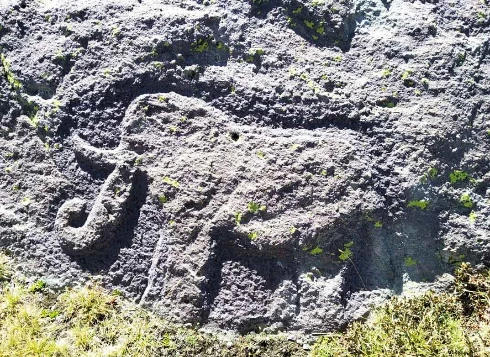 Mercantour en étoile - Photo 3