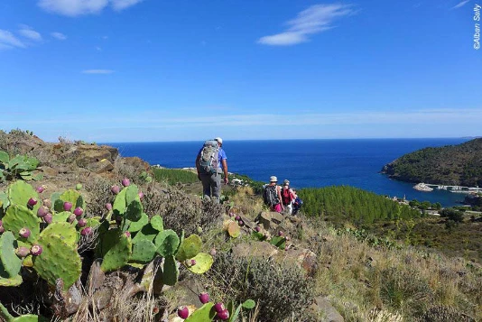Collioure Cadaques - Photo 9