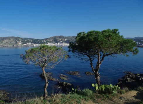 Collioure Cadaques - Photo 7