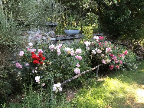 Retrouvance® : Millevaches - Photo 7