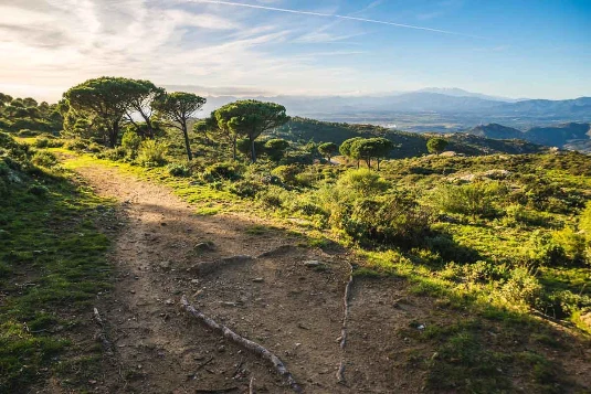 Collioure Cadaqués en Liberté - Photo 8