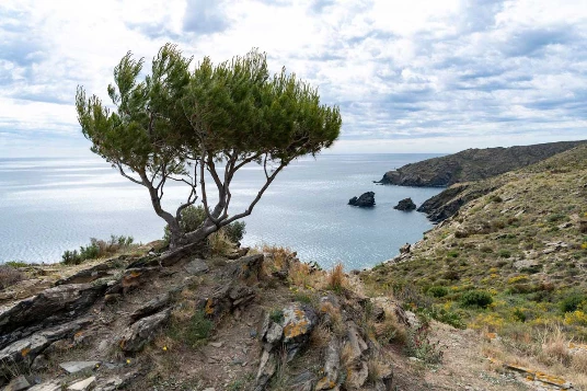 Collioure Cadaqués en Liberté - Photo 11