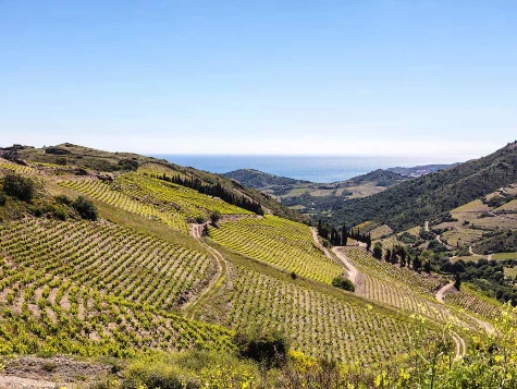 Collioure Cadaqués en Liberté - Photo 13