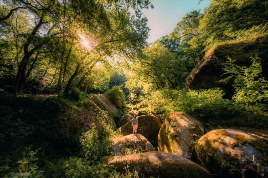 Monts d'Arrée et Crozon en Liberté - Photo 13