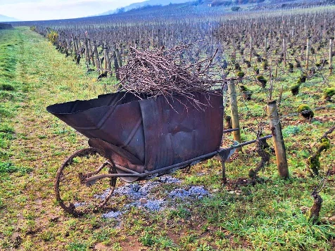 Chemins de Compostelle : Beaune - Cluny - Photo 2