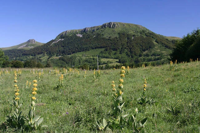 Lacs et Volcans d'Auvergne - Photo 2