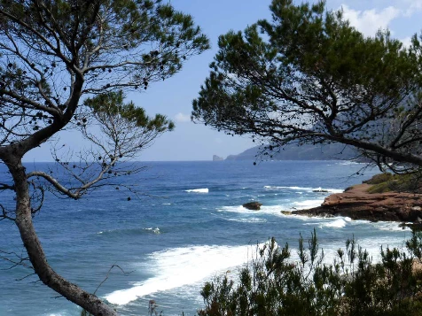 Les baleares : Majorque en liberté - Photo 2