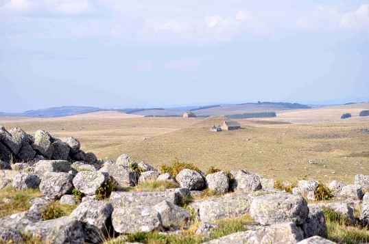 Aubrac : Les Grands Espaces en liberté - Photo 2