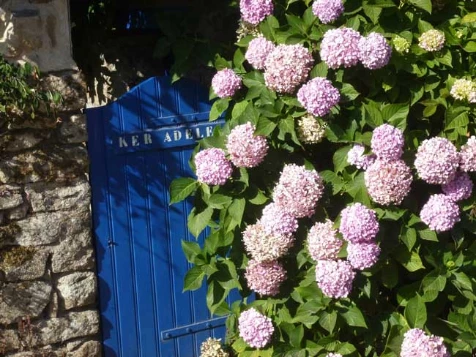 WE Réveillon Golfe du Morbihan - Photo 2