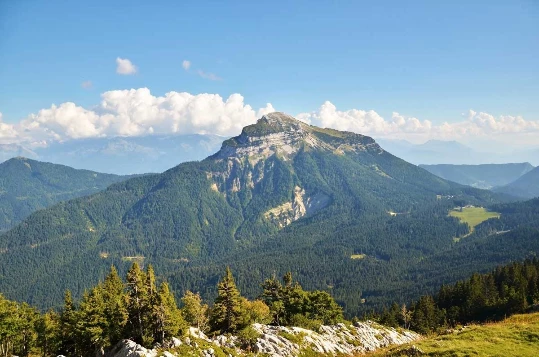 Rando & balnéo Chartreuse - Photo 2