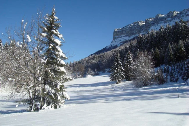 Raquettes & balnéo Chartreuse - Photo 2