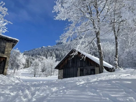 Chartreuse : vallons et Alpages - Photo 2