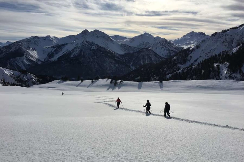 Raquette sauvage en Clarée - Photo 2