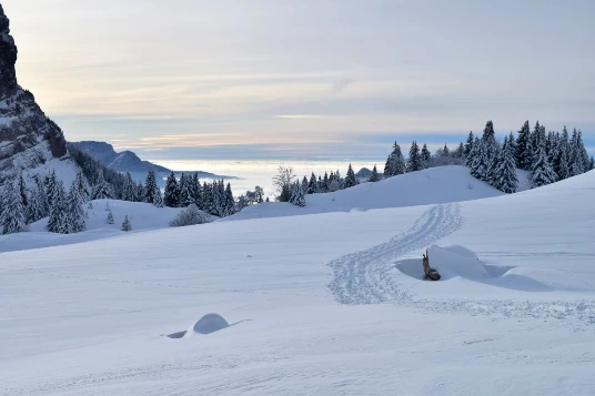 Escapade Hivernale en Chartreuse - Photo 2