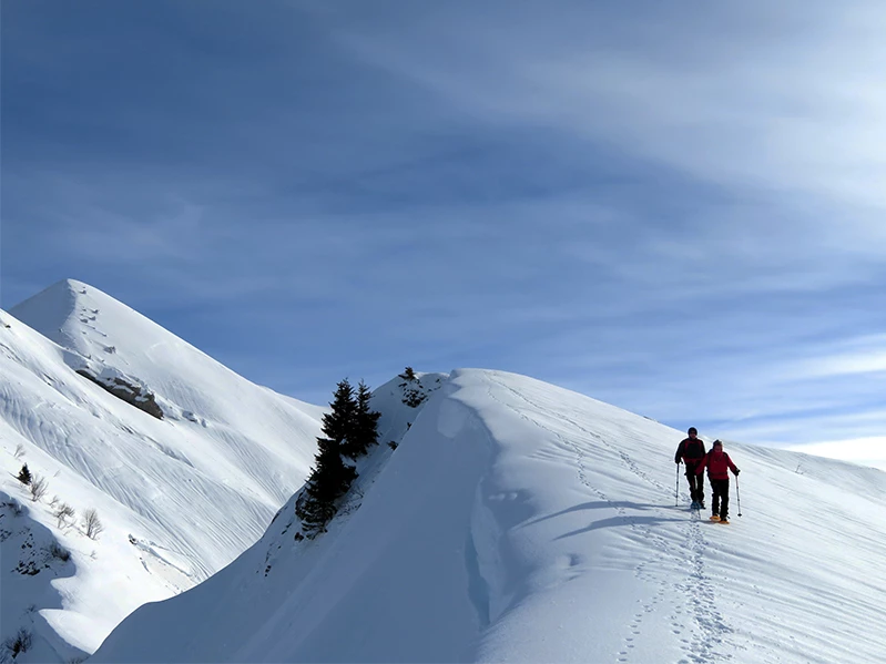 Paysages des Bauges - Photo 2