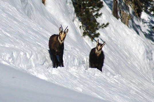 Escapade dans le Queyras - Photo 2