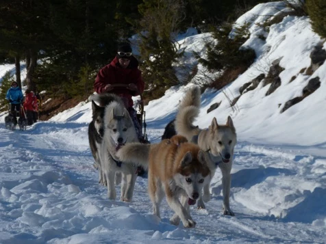 Cocktail Neige en Vallée de Névache - Photo 2