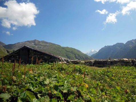 Tour du Mont Blanc Complet - Photo 2