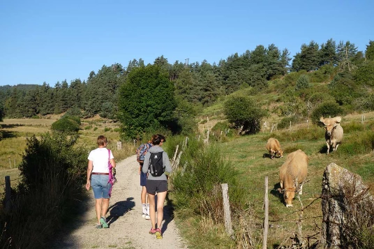 Chemins de Compostelle : Le Puy - Nasbinals - Photo 2