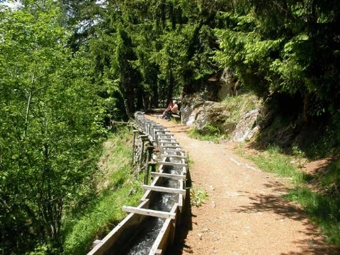 Les Bisses du Valais en Liberté - Photo 2